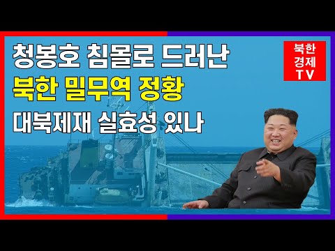 북한 화물선 청봉호 동해서 침몰... 승조원 ..