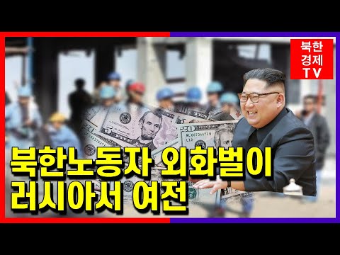 북한 노동자, 러시아에서 외화벌이 계속해